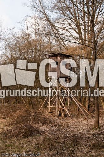 Hochstände (119 von 154).jpg